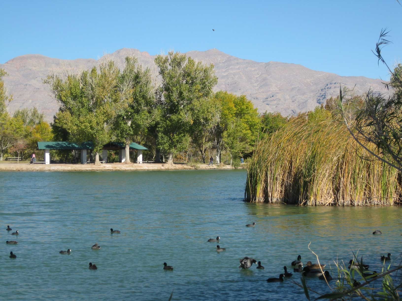 Floyd Lamb Park