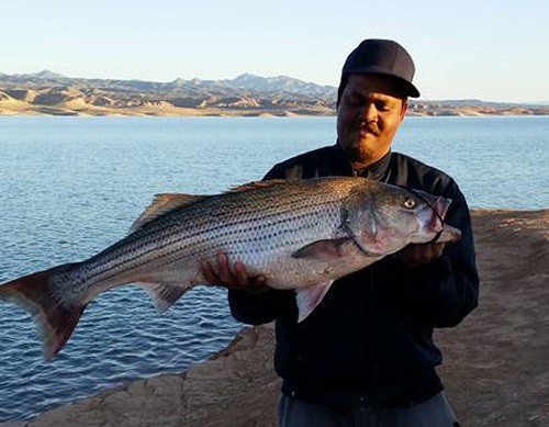 Lake Mead