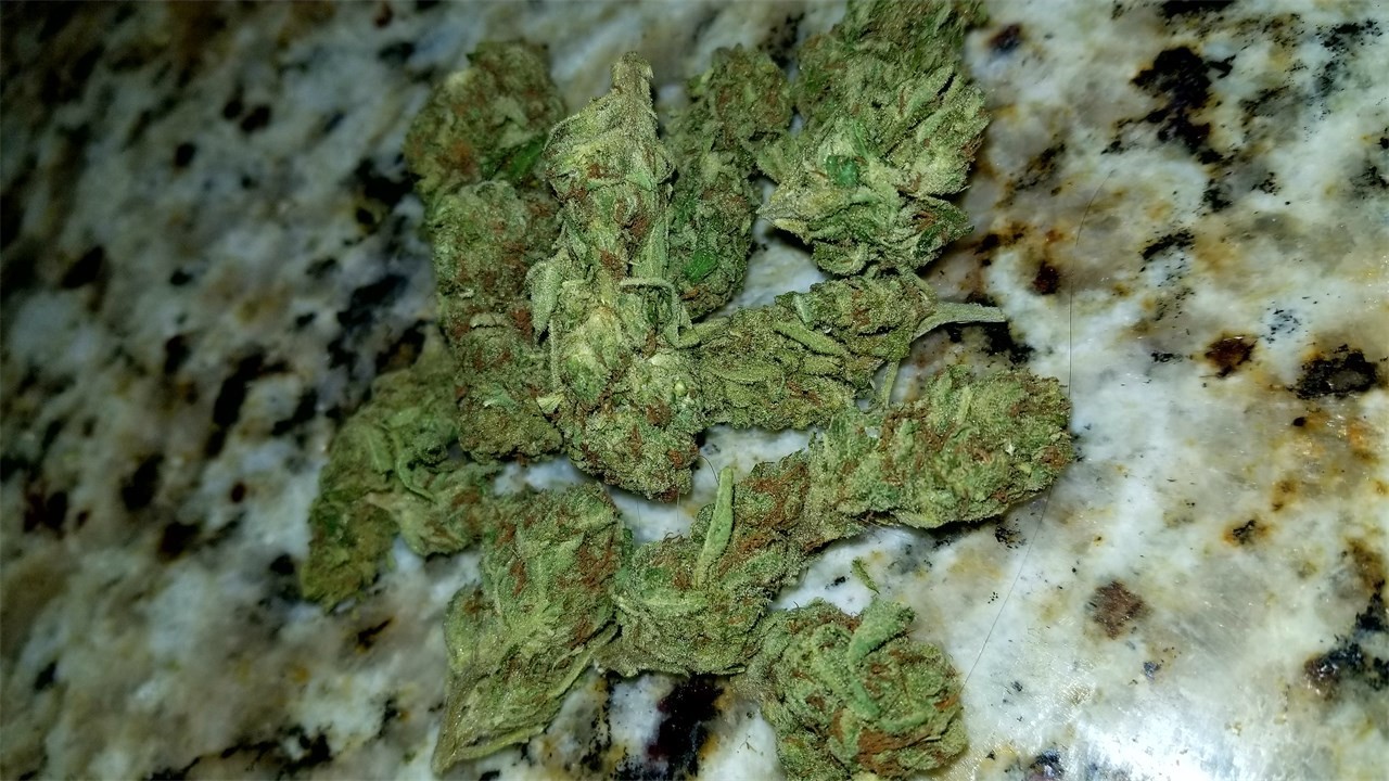 Afternoon Delight