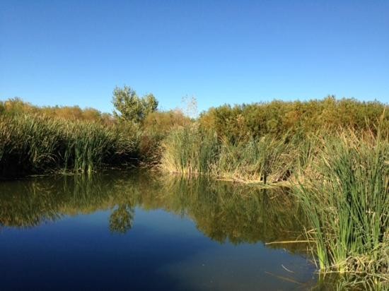 Wetlands Park Nature Preserve
