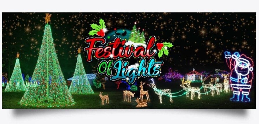 Festival of Trees &amp; Lights (Virtual)
