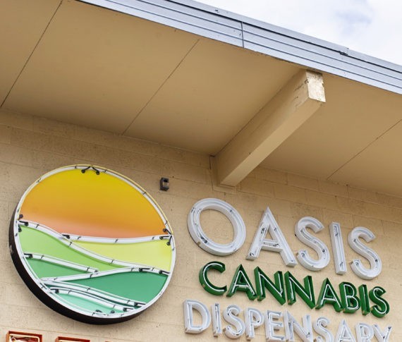 Oasis