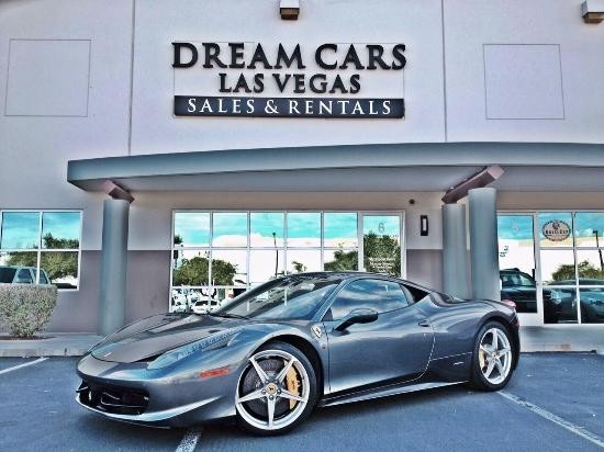 Dream Exotics